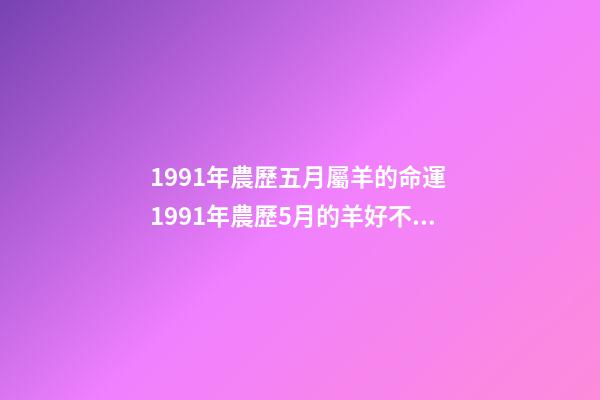1991年農歷五月屬羊的命運 1991年農歷5月的羊好不好，1991年屬羊農歷五月生好不好-第1張-觀點-玄機派